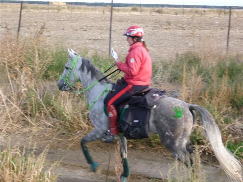 Clinic de Trec en el Club Hípico Zolina los próximos días 5 y 6 de diciembre